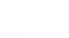 Synergics logo